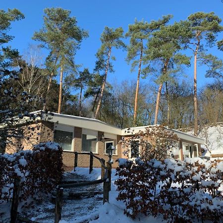 Het Fazantenbosje Dalfsen Exterior foto
