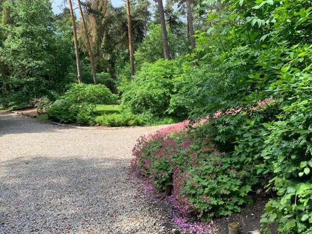 Het Fazantenbosje Dalfsen Exterior foto