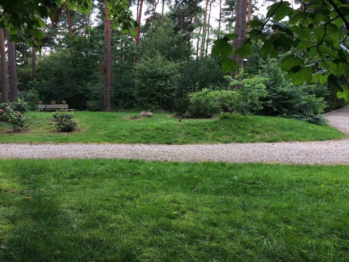 Het Fazantenbosje Dalfsen Exterior foto